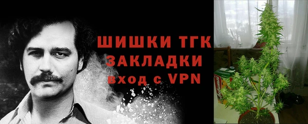 прущие грибы Вязьма