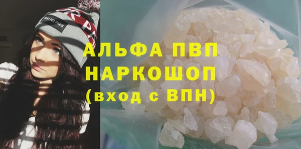 индика Горнозаводск