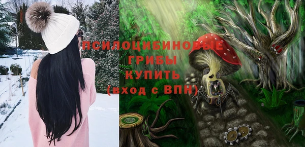 шишки Вяземский