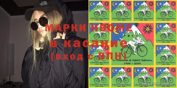 индика Горнозаводск