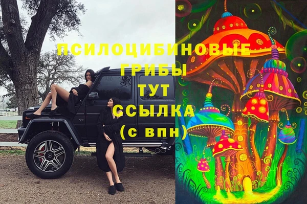 прущие грибы Вязьма