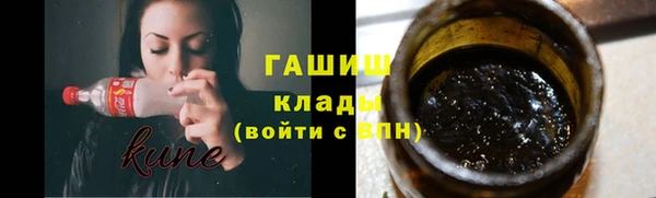 гидра Горняк