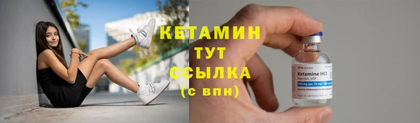гидра Горняк