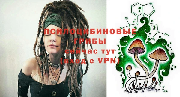 индика Горнозаводск
