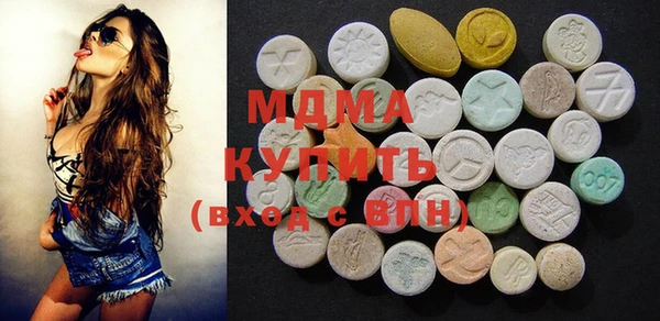 индика Горнозаводск