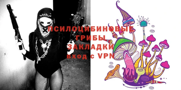 прущие грибы Вязьма