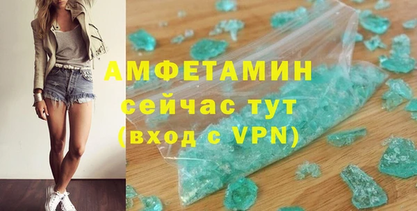 прущие грибы Вязьма