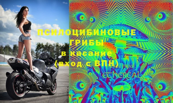 мяу мяу мука Вязники