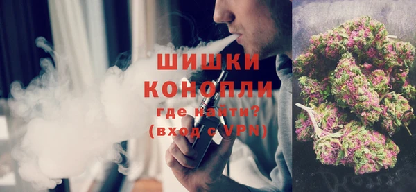 прущие грибы Вязьма