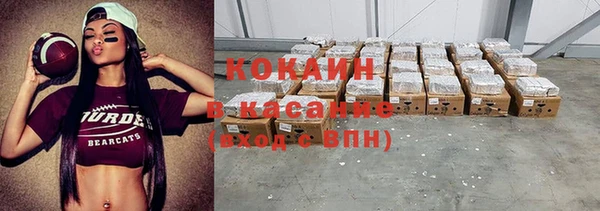 гидра Горняк