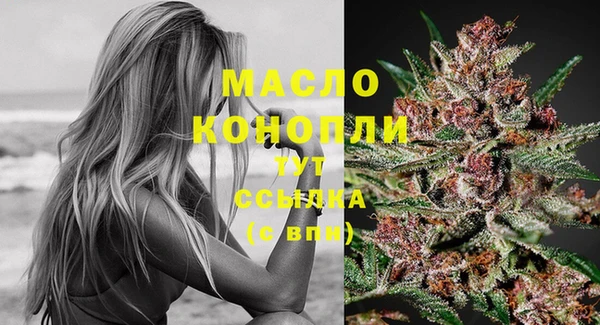 индика Горнозаводск