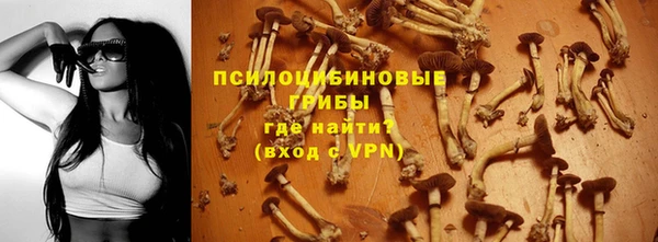 шишки Вяземский