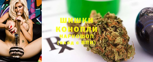 гидра Горняк
