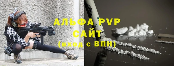 шишки Вяземский